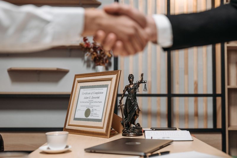 Handshake between business partners after choosing an entity structure